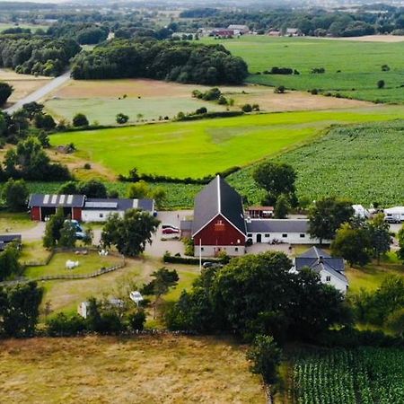 Rödlix Vandrarhem&Camping Tvååker Exterior foto